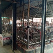 shri shani maharaj temple aali kapasan chittorgarh (15)