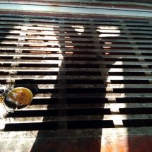 shri shani maharaj temple aali kapasan chittorgarh (35)